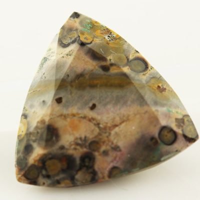 y11656.jpg