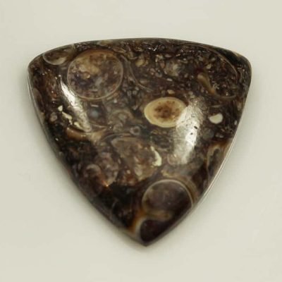 y11672-1.jpg