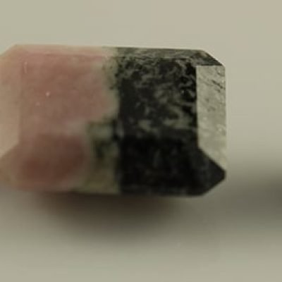 y12021.jpg