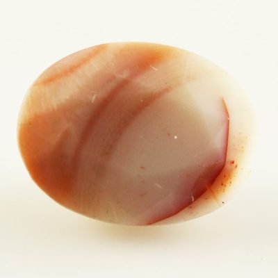 y21174.jpg