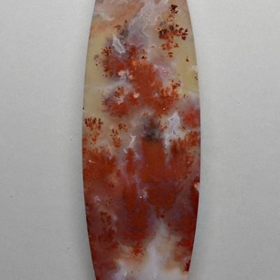y30101.jpg