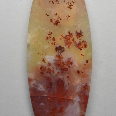 y30102.jpg