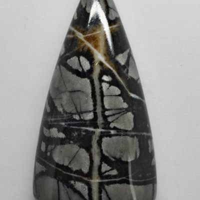 y30131b.jpg