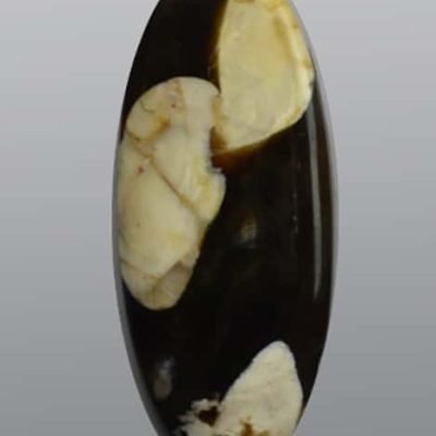 y30843.jpg