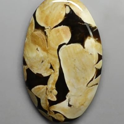 y30844.jpg