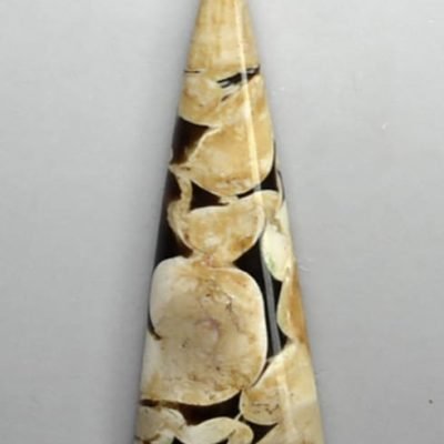 y30896.jpg