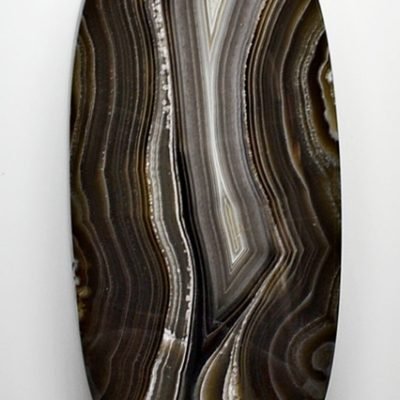 y31231-1.jpg