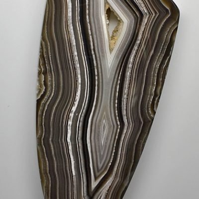 y31242.jpg