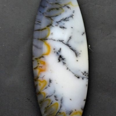 y31950.jpg
