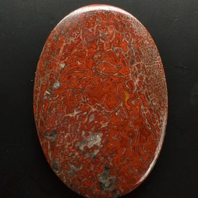 y90596.jpg