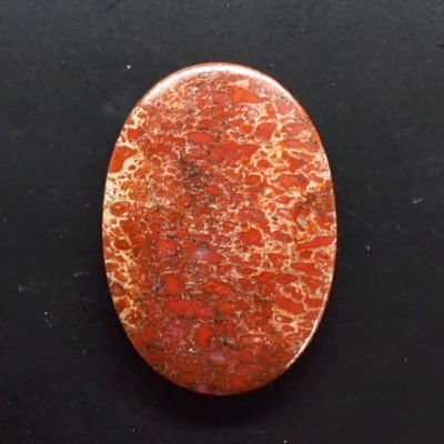 y9799.jpg