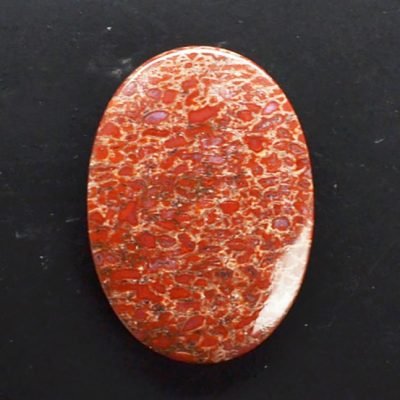 y9800.jpg