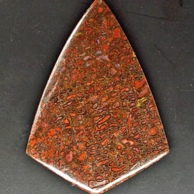 y9805.jpg