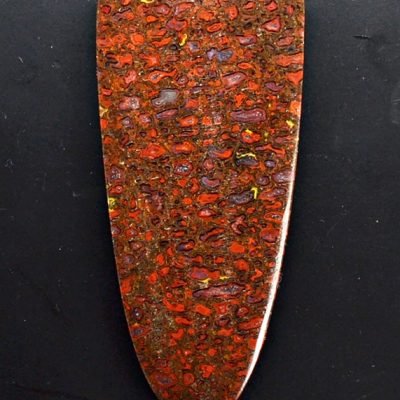 y9816.jpg
