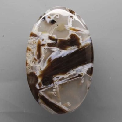y98206.jpg