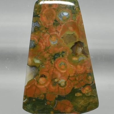 y9831.jpg