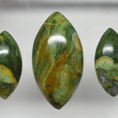 y9841.jpg