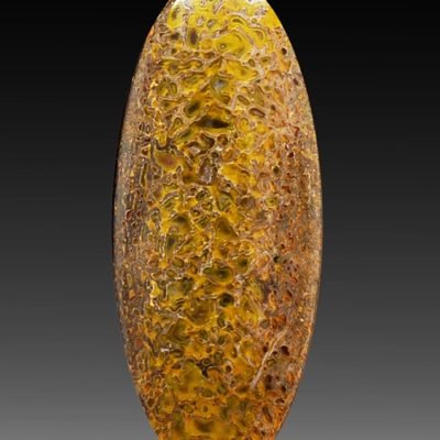 y9864.jpg