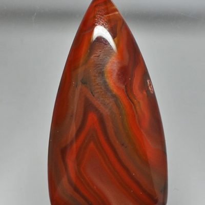 y9874.jpg