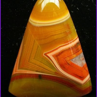 y9877.jpg