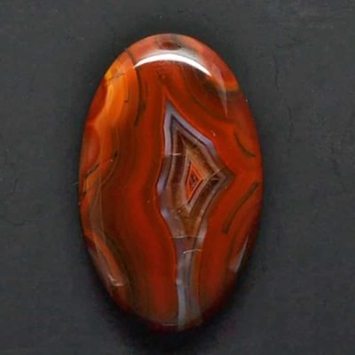 y9880.jpg