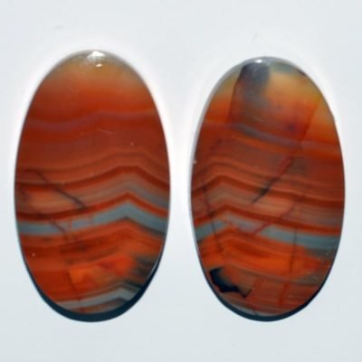 y9900.jpg