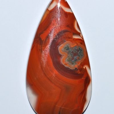 y9901.jpg