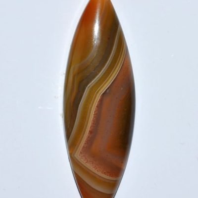y9903.jpg