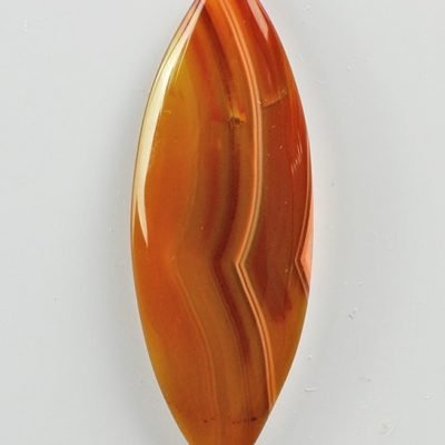 y9922.jpg