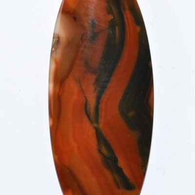 y9935.jpg