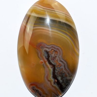 y9939.jpg