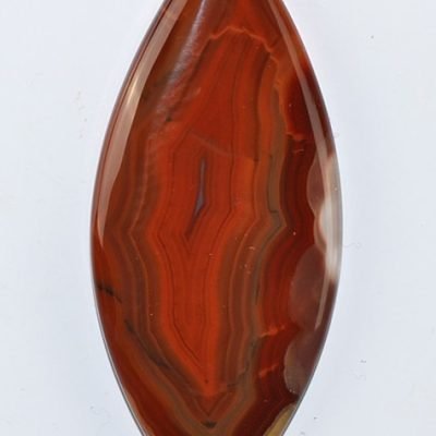 y9943.jpg