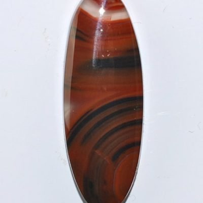 y9945.jpg