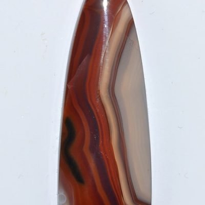 y9952.jpg