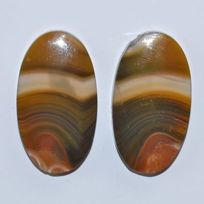 y9957.jpg