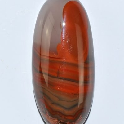 y9969.jpg
