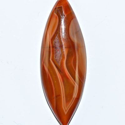 y9981.jpg